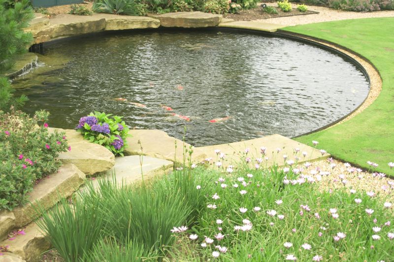 Pond Installation Service