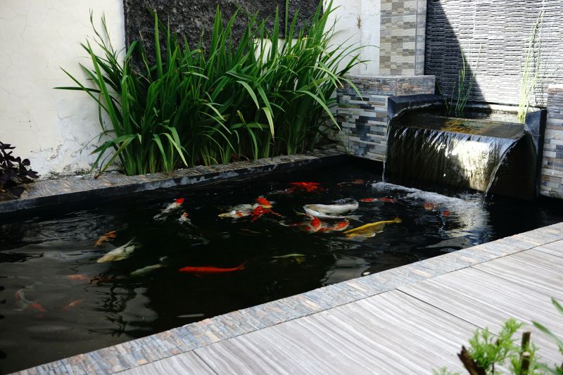 Pond Construction in Honolulu, HI